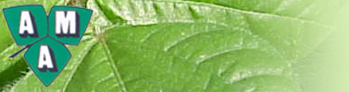 Australia Mungbean Association